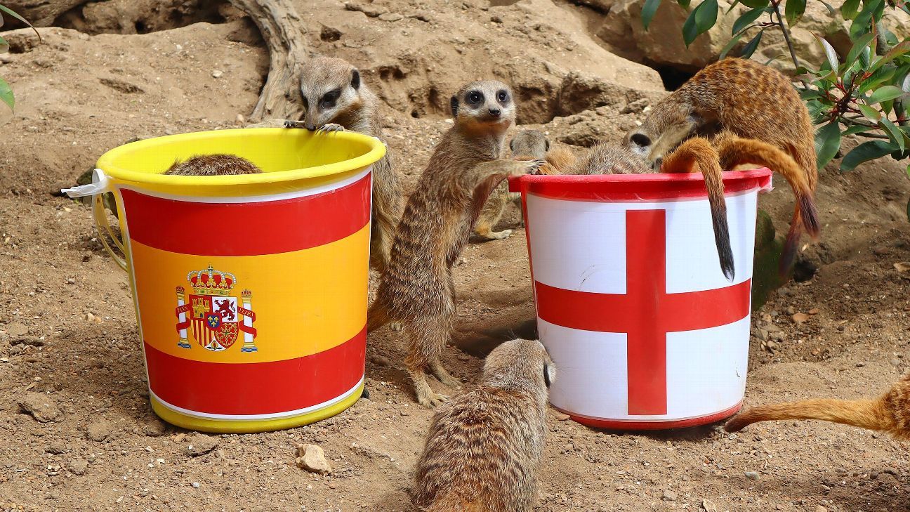 'Mystic Meerkats' predict England's run to Women's World Cup final glory