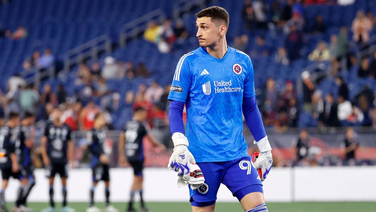 Revolution goalkeeper Petrovic named to MLS All-Star Team