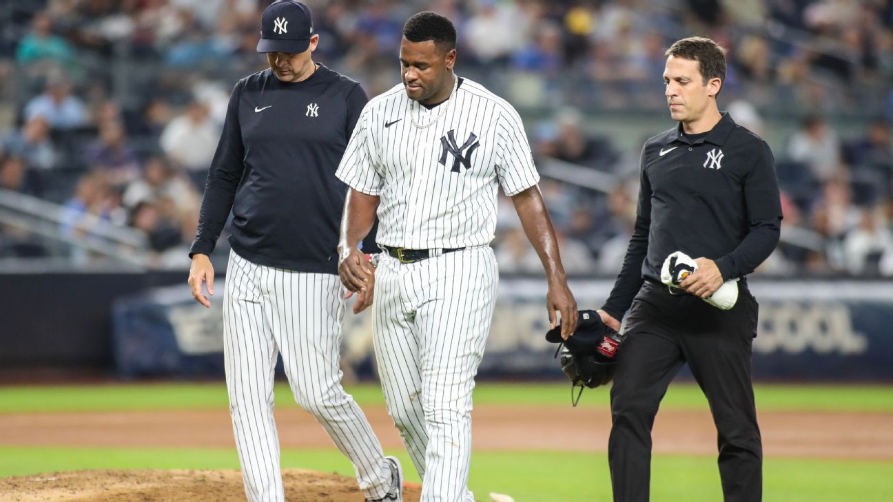 Luis Severino of the New York Yankees in action against the