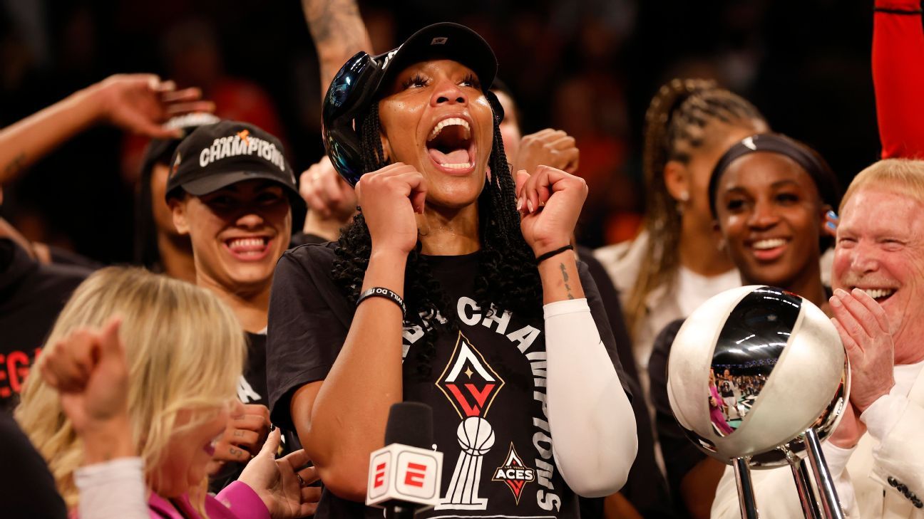 WNBA champ Chelsea Gray reveals she and her wife are having a baby