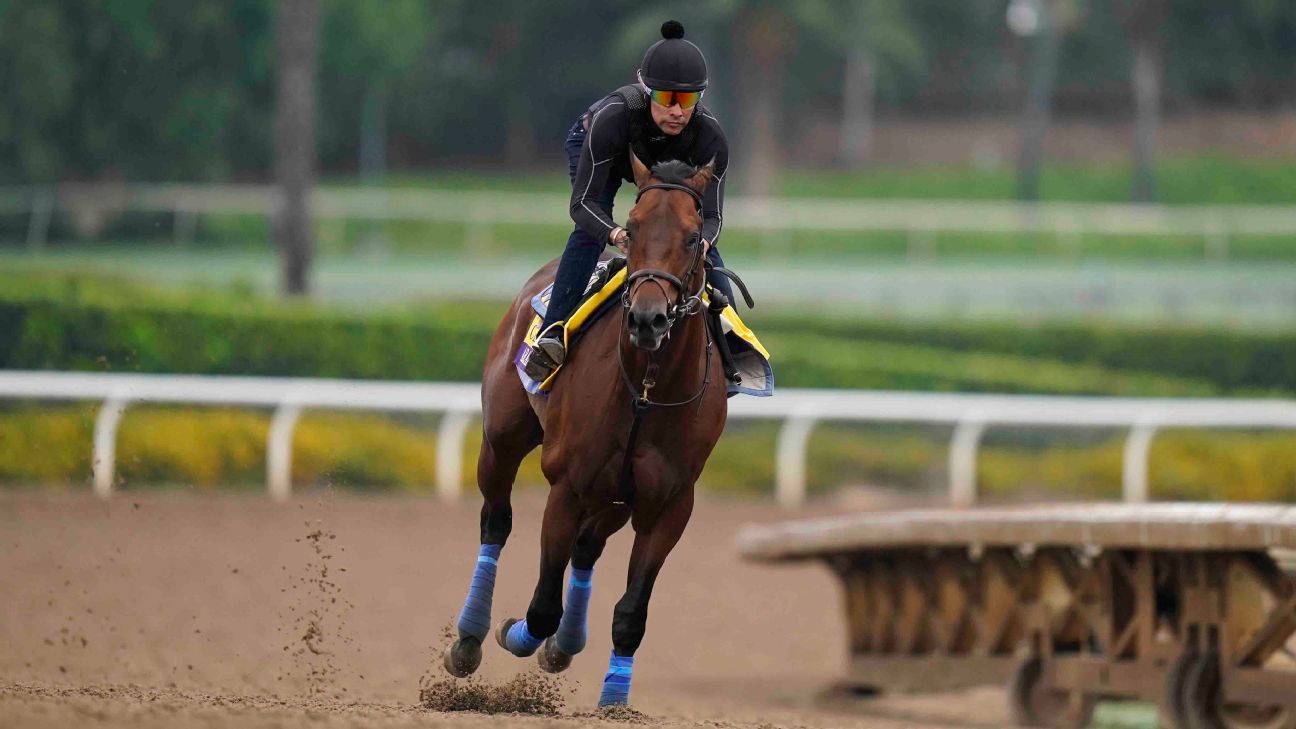 Arabian Knight a 3-1 favorite in the Breeders' Cup