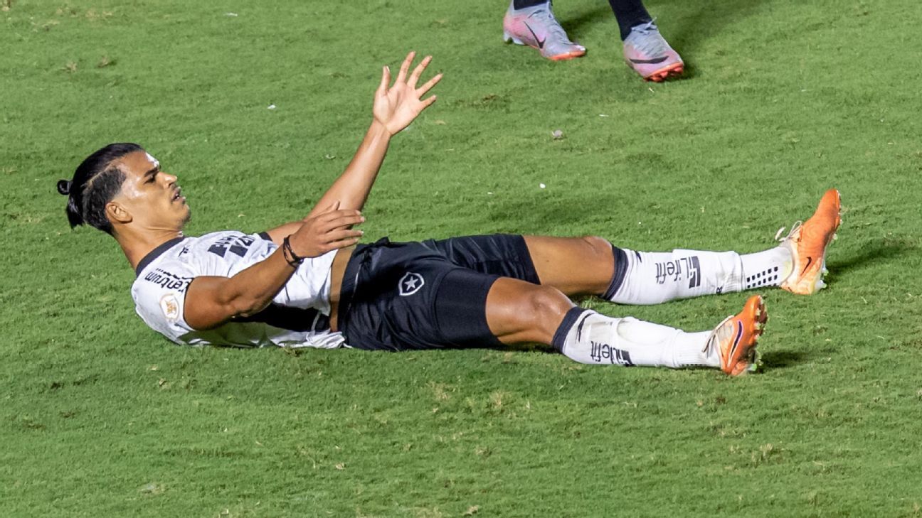Botafogo é o 18º colocado do returno do Brasileirão e vê rivais voando em reta final