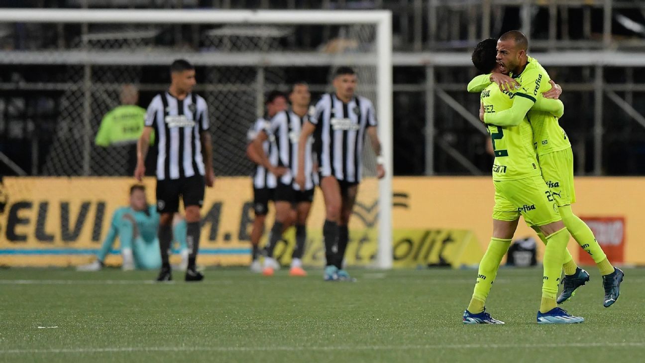 Palmeiras vence Botafogo em virada histórica no Nilton Santos