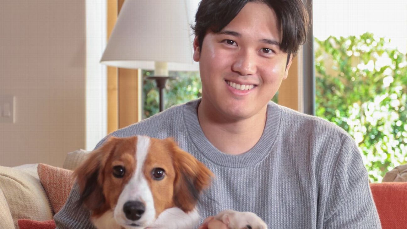Embassy throws Ohtani a bone with visa for dog