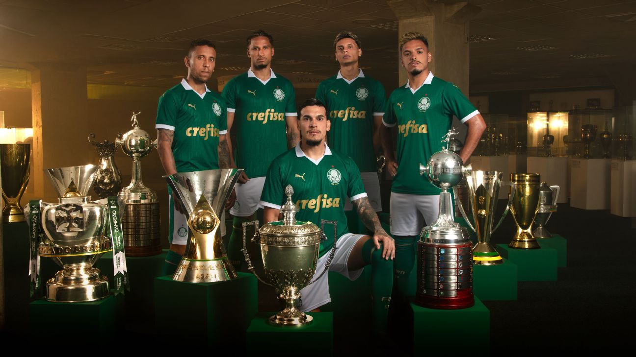 Novo Fornecedor de Material Esportivo: Requisitos do Palmeiras em Destaque