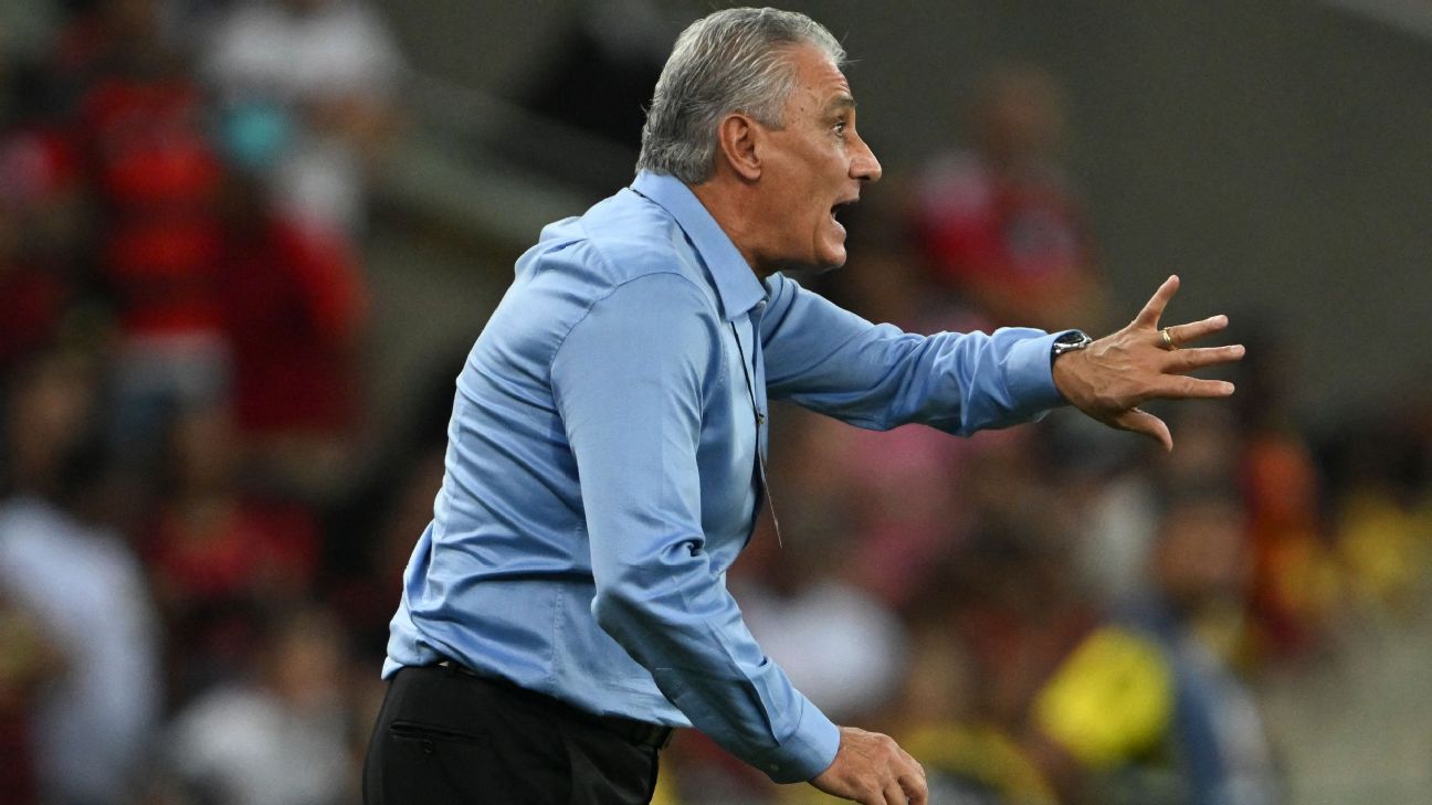 Tite pede ao Flamengo definição de prioridades e limitações no time