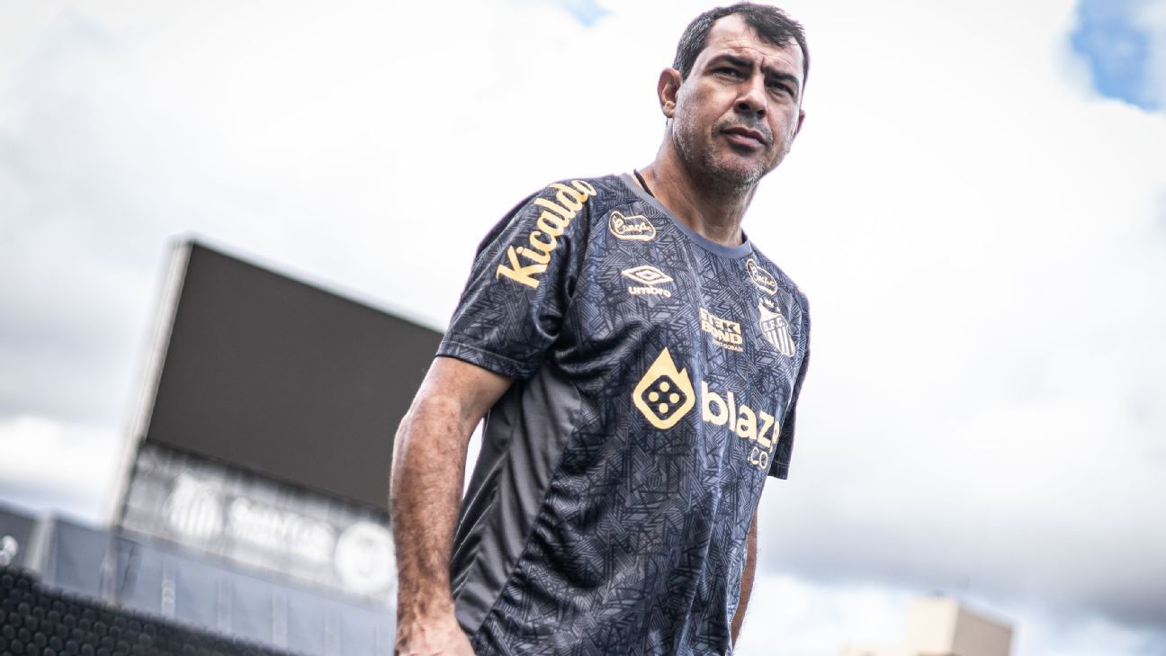 Vasco? Carille rejeita procura e diz que permanece no Santos