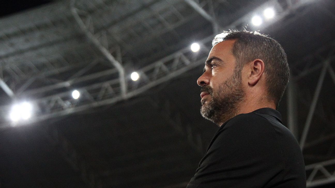 Técnico do Botafogo analisa rival Palmeiras na Libertadores como igual aos demais