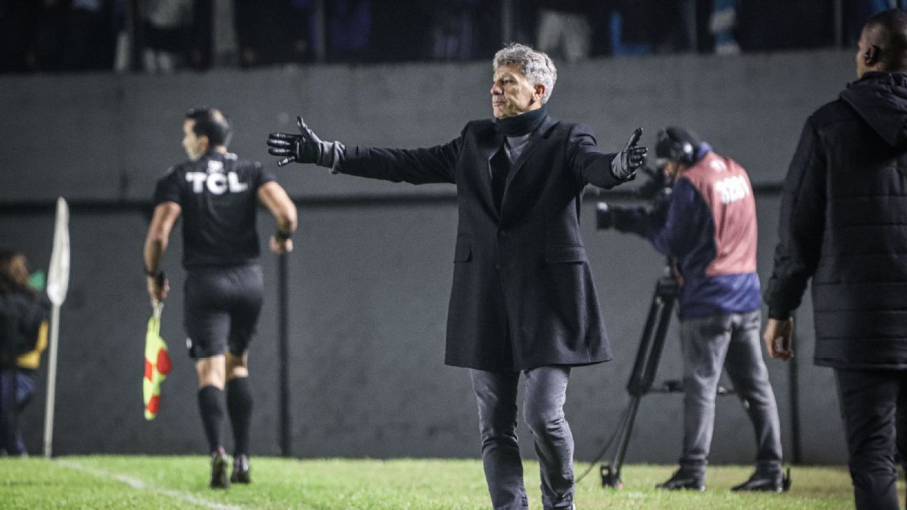 Renato Gaúcho ironiza gritos de burro da torcida após empate com Palmeiras