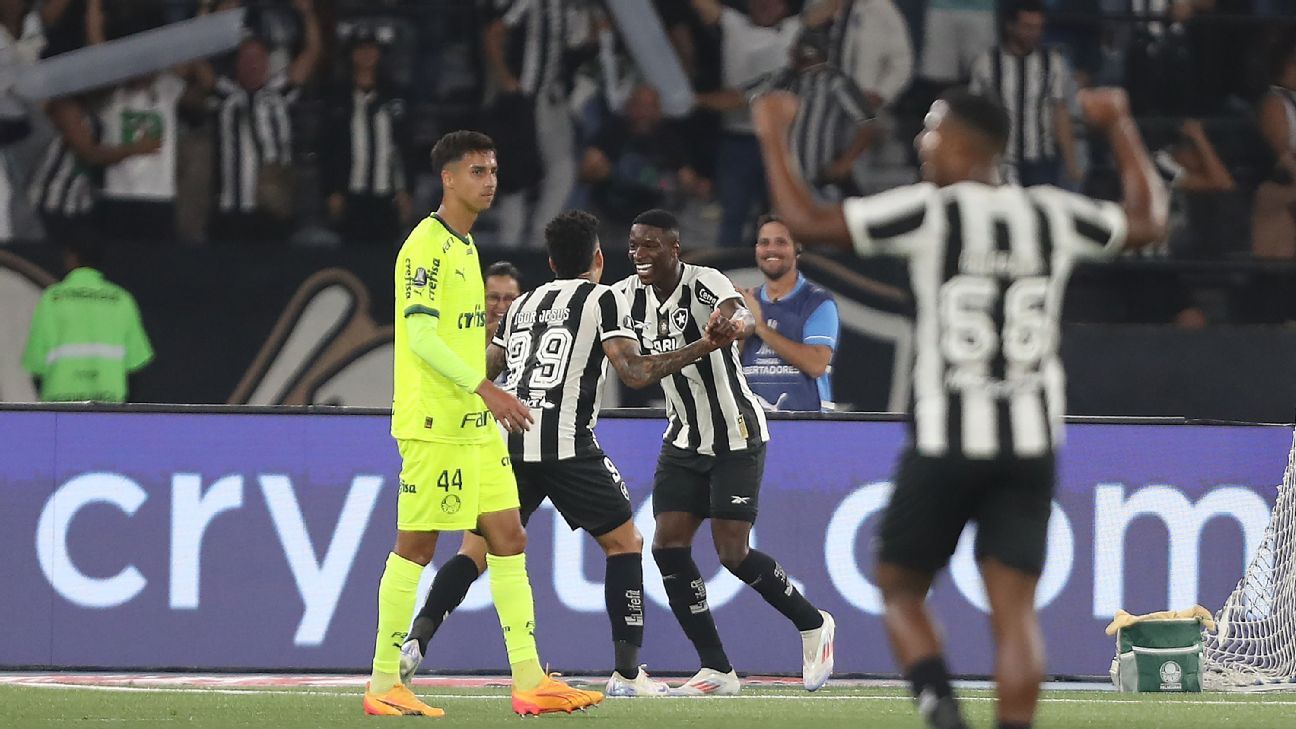 Botafogo vence Palmeiras, quebra invencibilidade na Libertadores e lidera disputa por vaga.