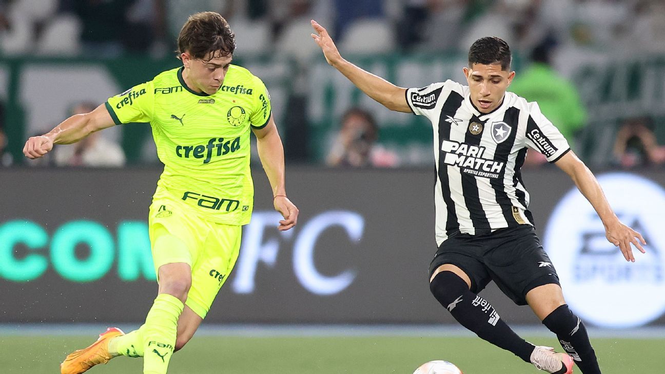 Palmeiras x Botafogo: Onde assistir ao vivo, horário e prováveis escalações na Libertadores.
