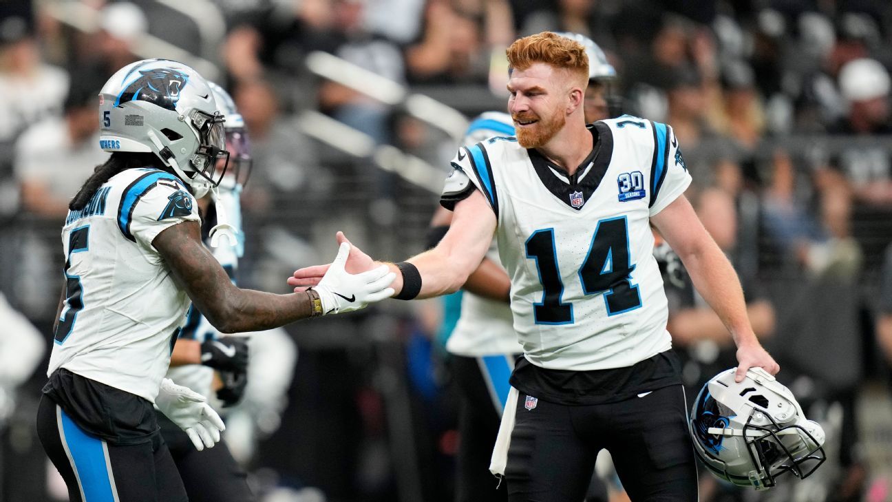 ‘A vet presence’: Panthers praise Dalton after win