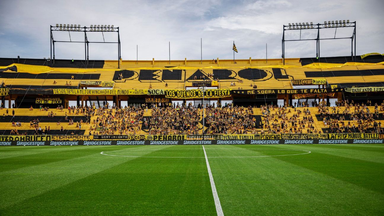 Estádio inovador com tecnologia brasileira receberá partida decisiva do Flamengo na Libertadores