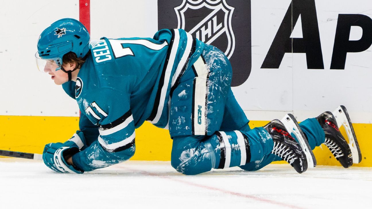 Sharks' Celebrini day-to-day after suffering injury