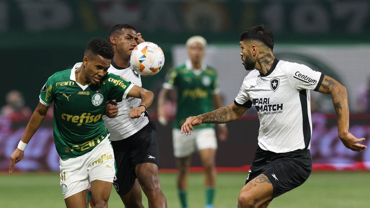 Diferença fundamental entre Palmeiras e Botafogo na disputa pelo título.