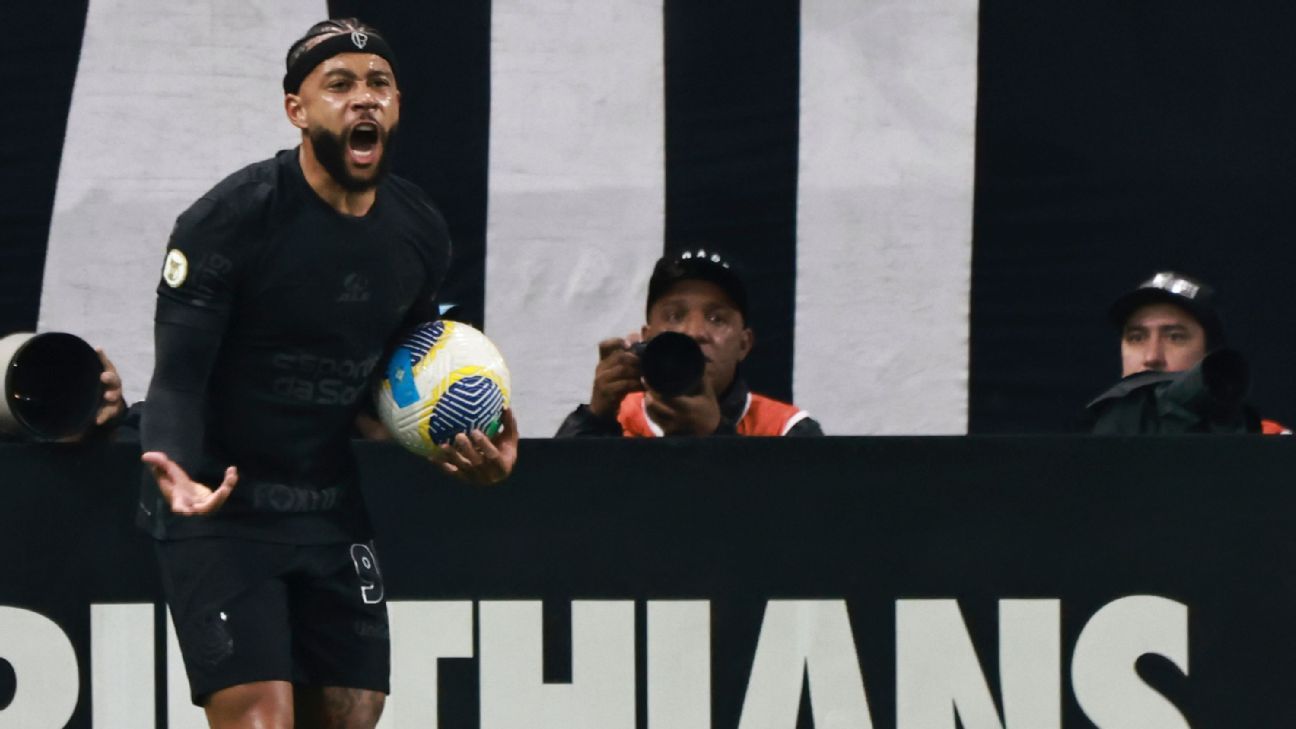 Strange situation in the São Paulo derby: a pig’s head on the field