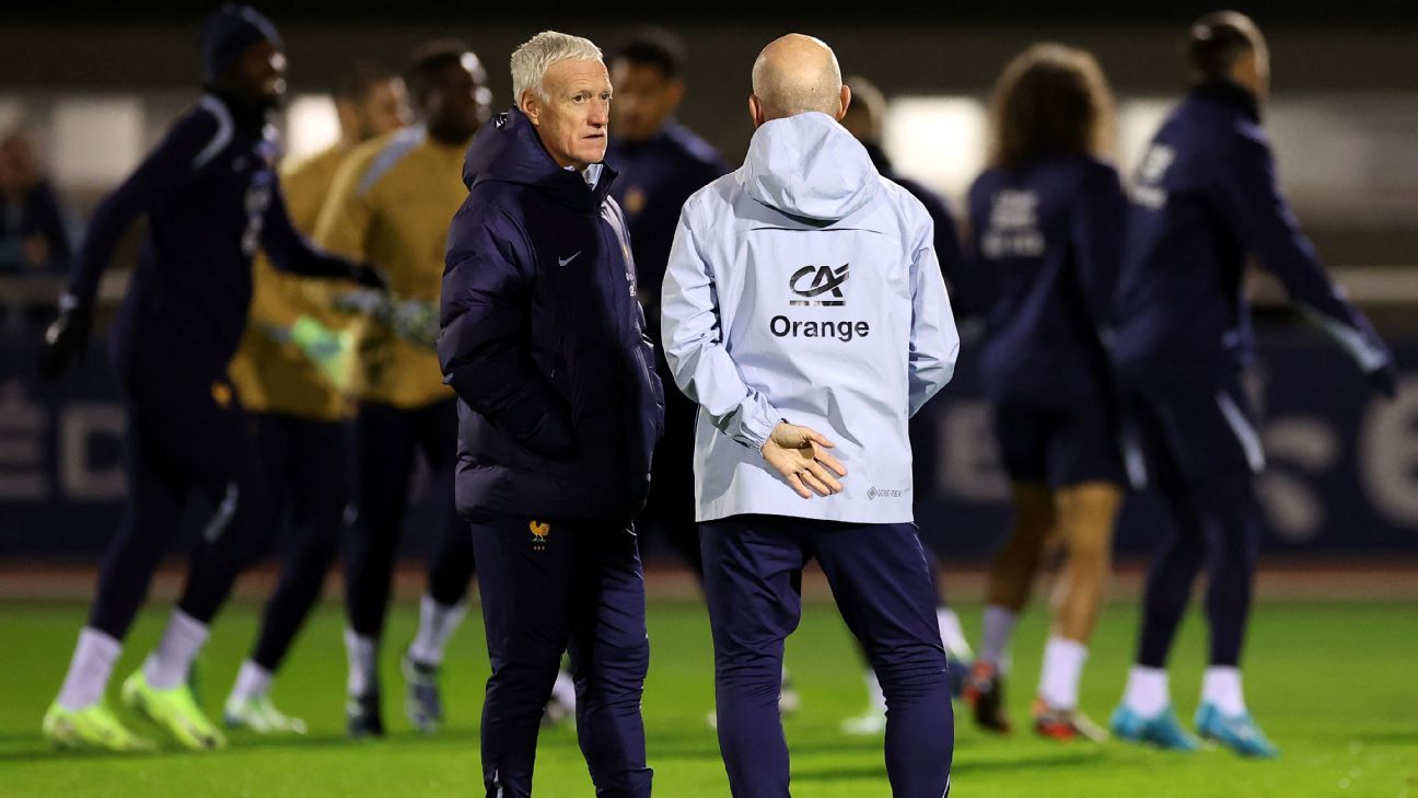 France boss concerned for players' mental health