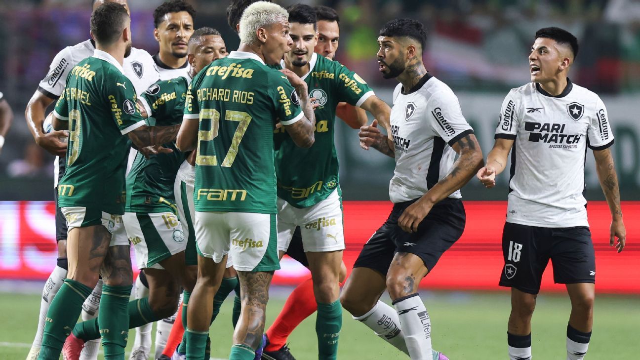 BRIGA PELO TÍTULO! Palmeiras e Botafogo travam a disputa mais acirrada dos últimos anos!