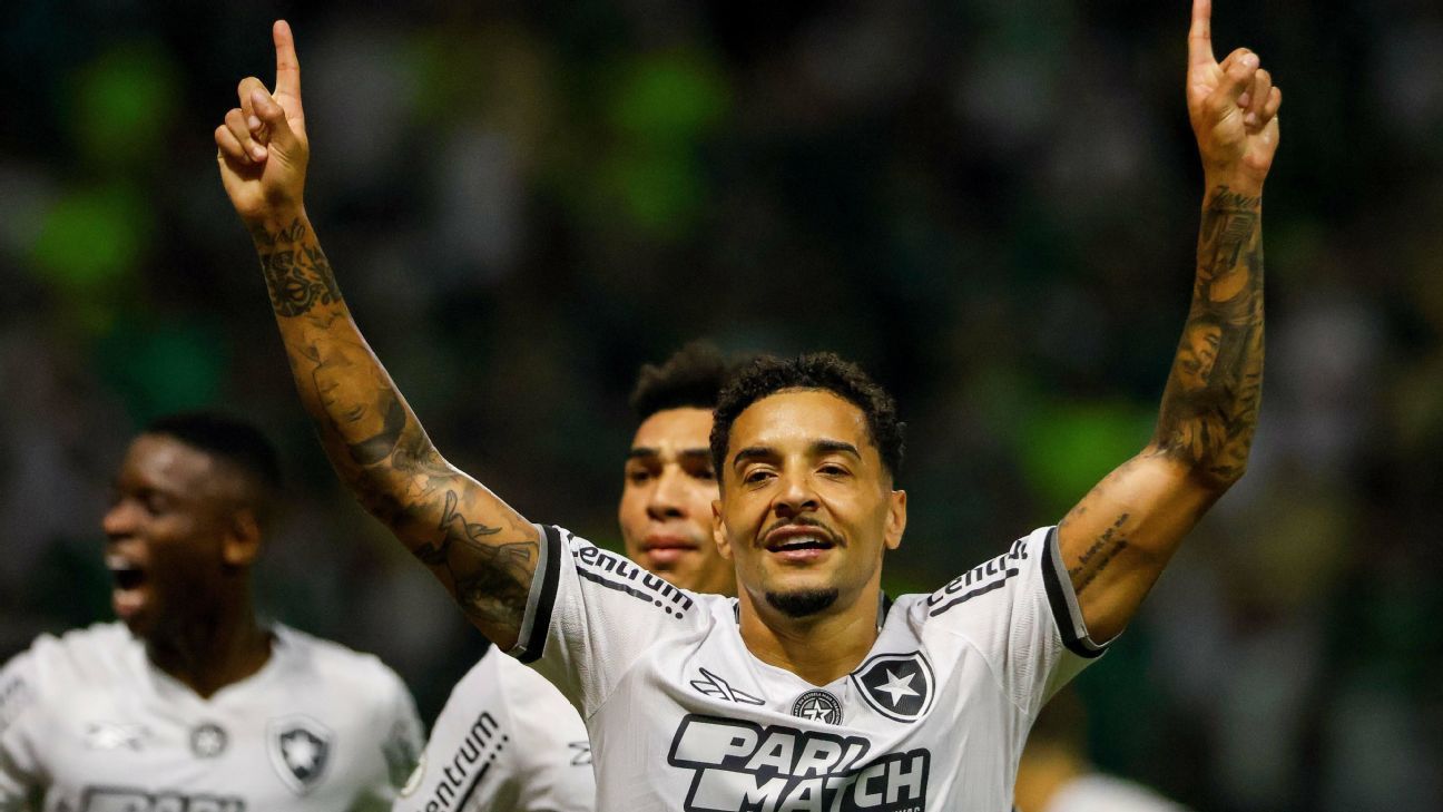 Botafogo derrota Palmeiras, retoma liderança e dá passo rumo ao título brasileiro.