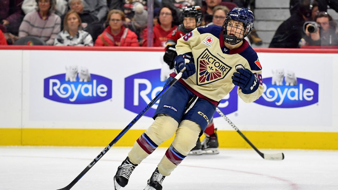 PWHL suspends Victoire's Dubois for illegal hit