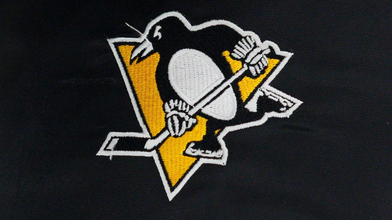 Sources: Fenway group to shop stake of Penguins