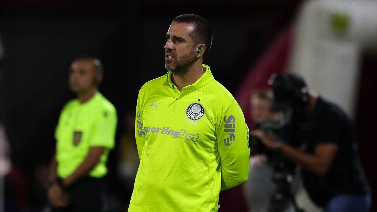 VIRA VIROU! Determinação do Palmeiras dá a vitória e mantém a equipe na liderança do Brasileiro
