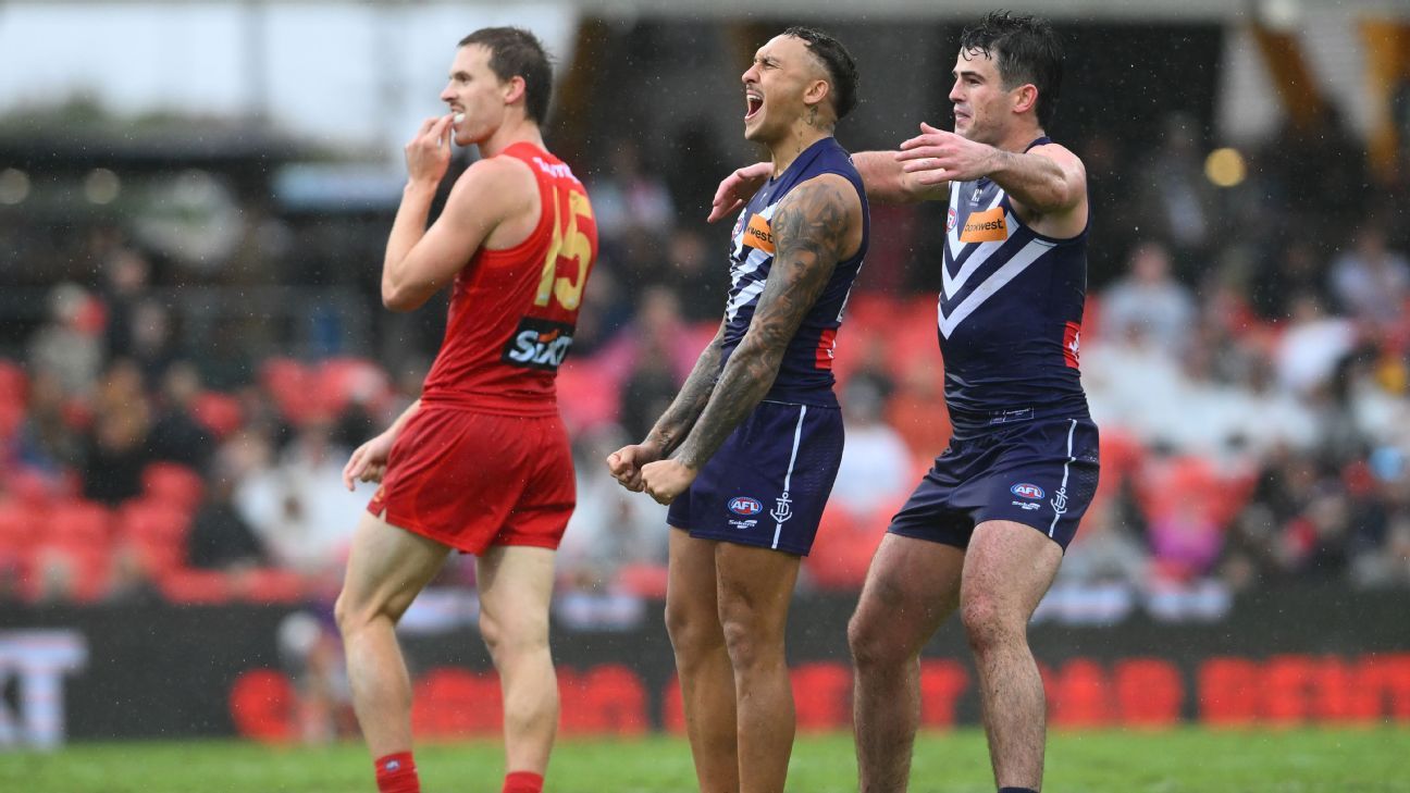 Bolton shines as Dockers rain on Suns' parade