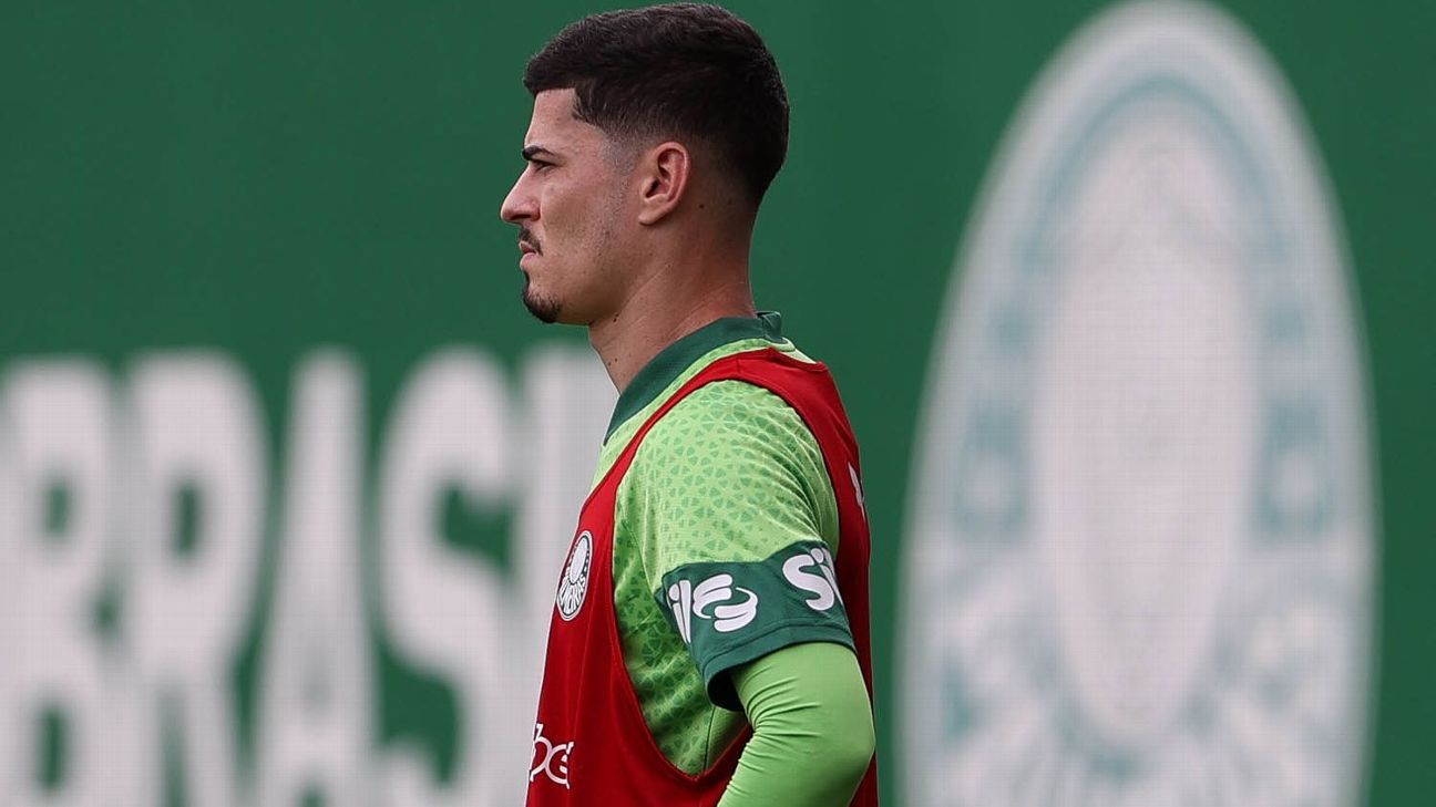 Meia do Palmeiras retorna ao time da Série B após devolução de empréstimo
