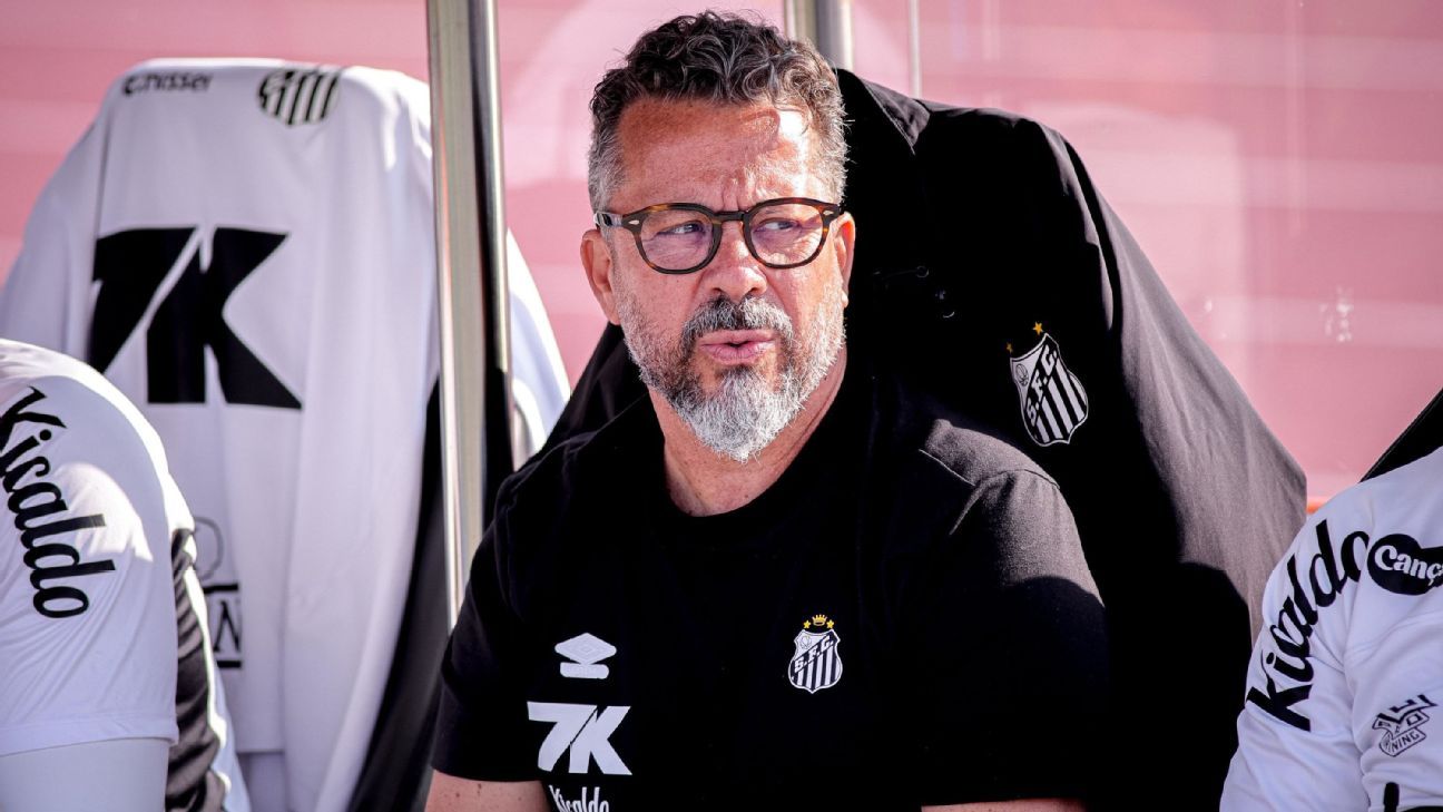 O desmonte alvinegro: santos demite auxiliar após vexame contra o vasco