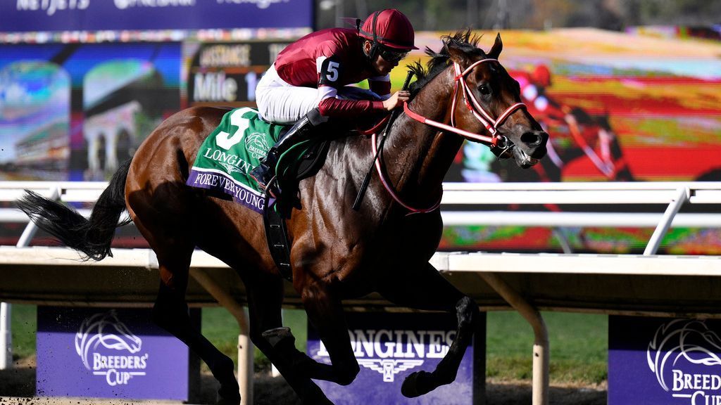 Forever Young wins M Breeders' Cup Classic