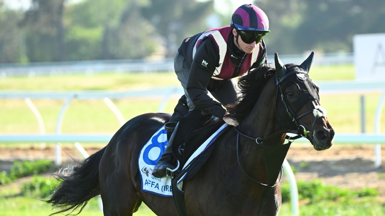 2025 Melbourne Cup Day tips: Who should you back in every race?