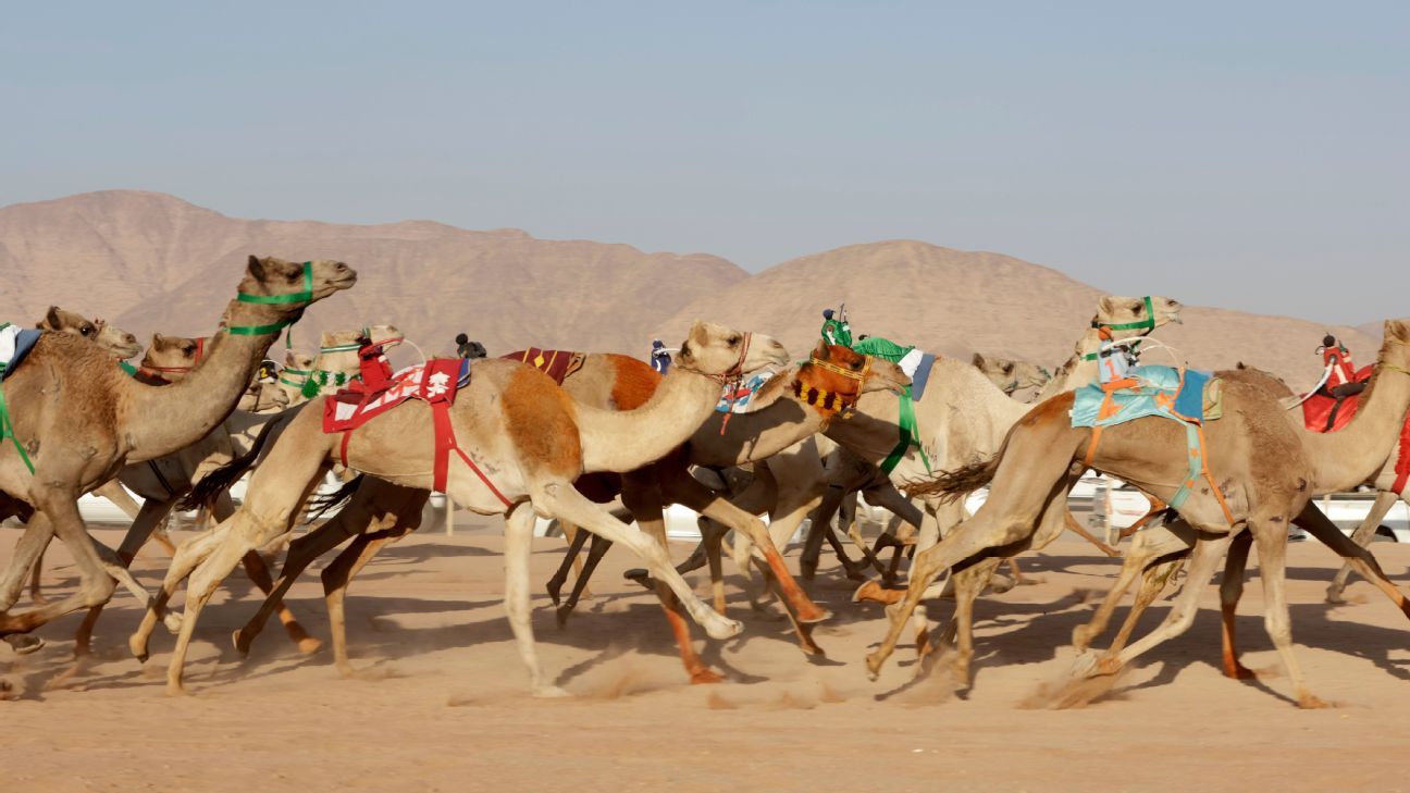Paul Pogba invests in Saudi camel racing team