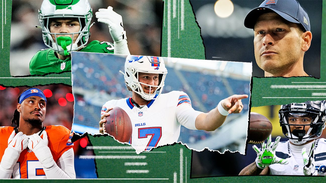 The NFL playoffs are nearly here! Our guide to 13 of 14 teams as we wait for Ravens-Steelers