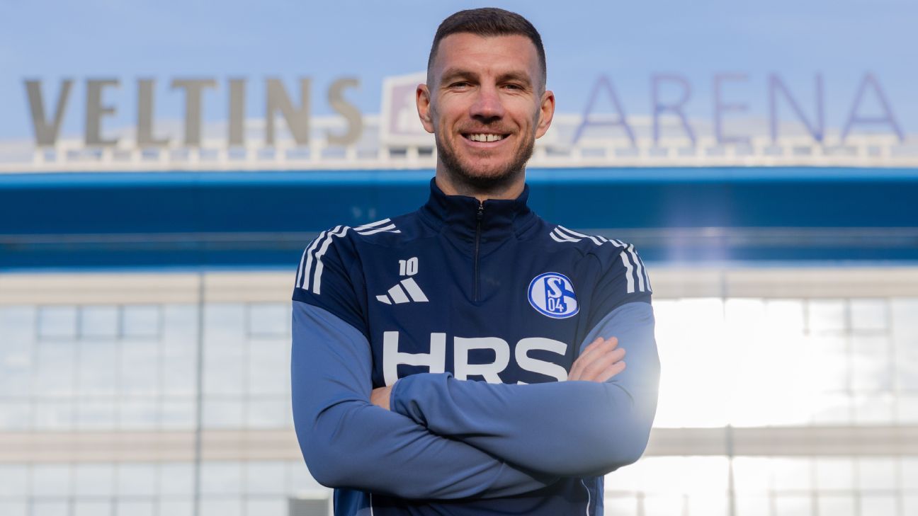 Dzeko, 39, returns to Germany with eye on WC