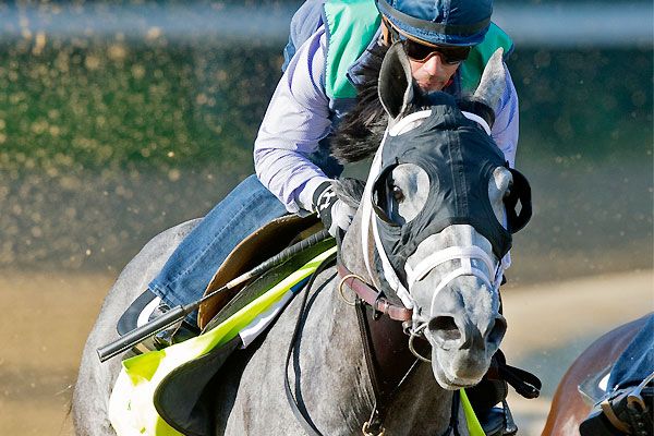 Belmont Stakes cheat sheet - ESPN