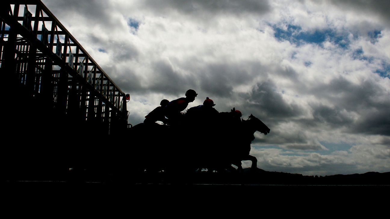 N.Y. trainer charged with striking horse that died