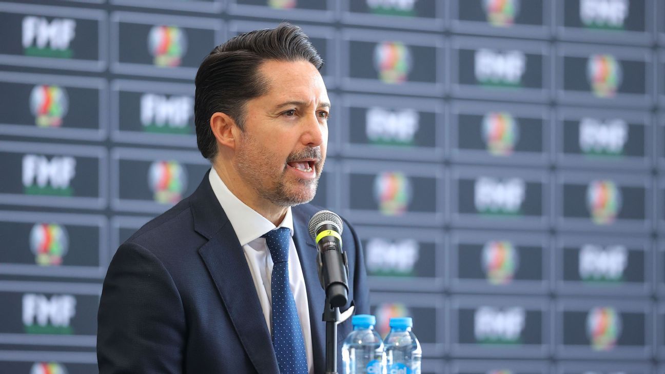 Yon de Luisa will not run for re-election as president of the Mexican Football Federation