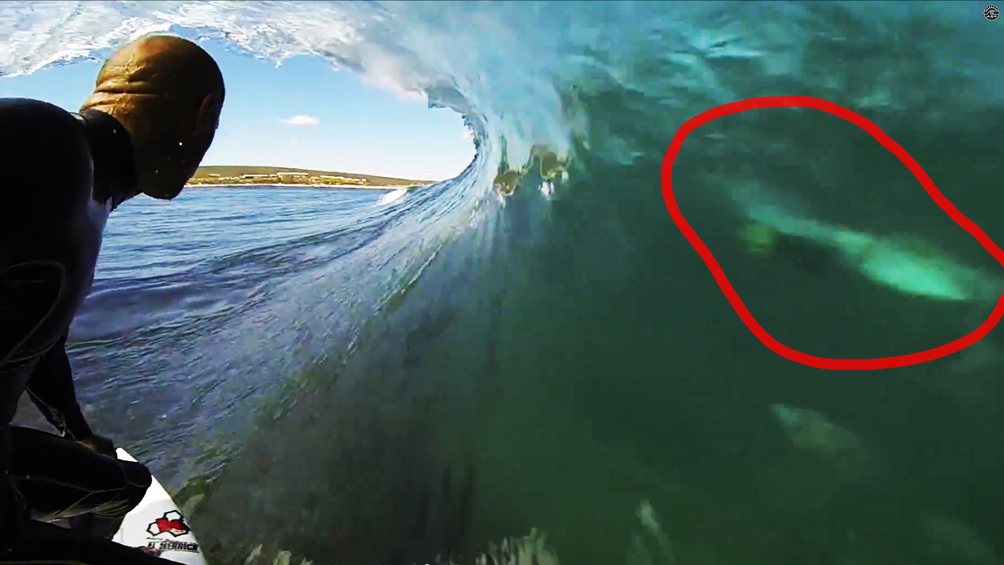 Video Kelly Slater divide onda com tubarão